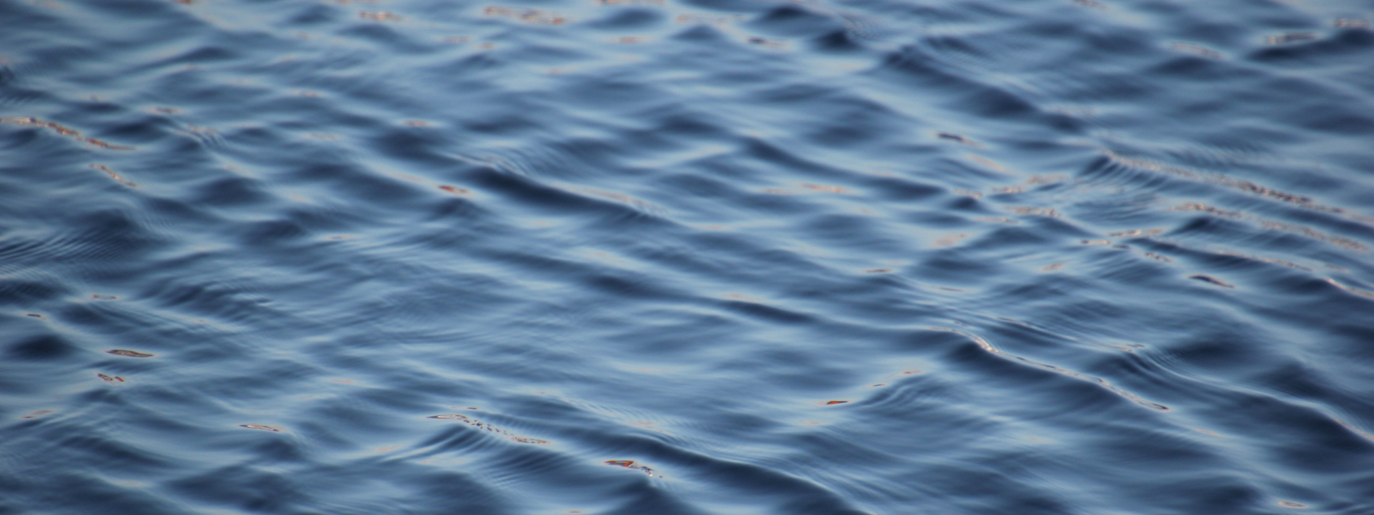 BAPTISMS AT CCFX*A sign of new life*I'm interested!