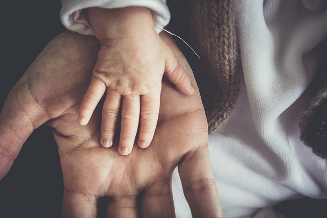 Young child hand