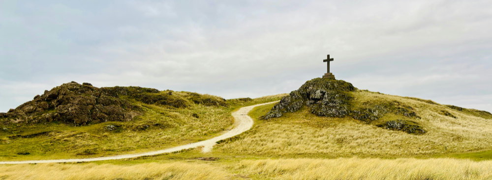 The cross